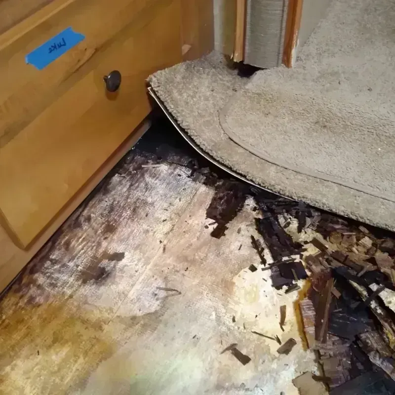 Wood Floor Water Damage in Dresden, OH